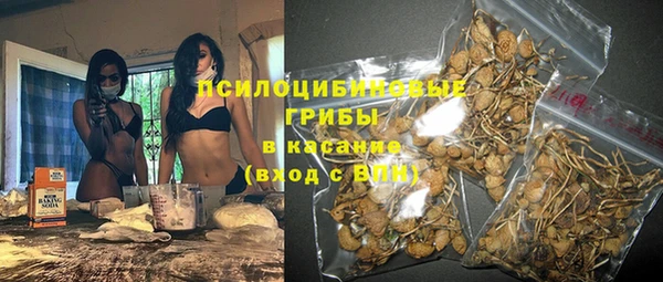 герыч Бронницы