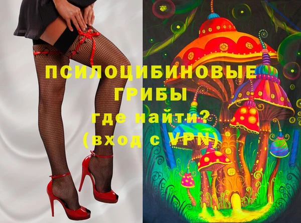 герыч Бронницы