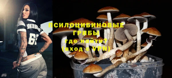 герыч Бронницы